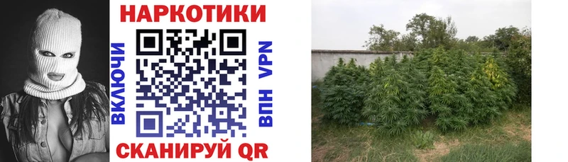 Какие есть наркотики Полесск Каннабис  мега tor  Гашиш  МЕФ  Кодеин 